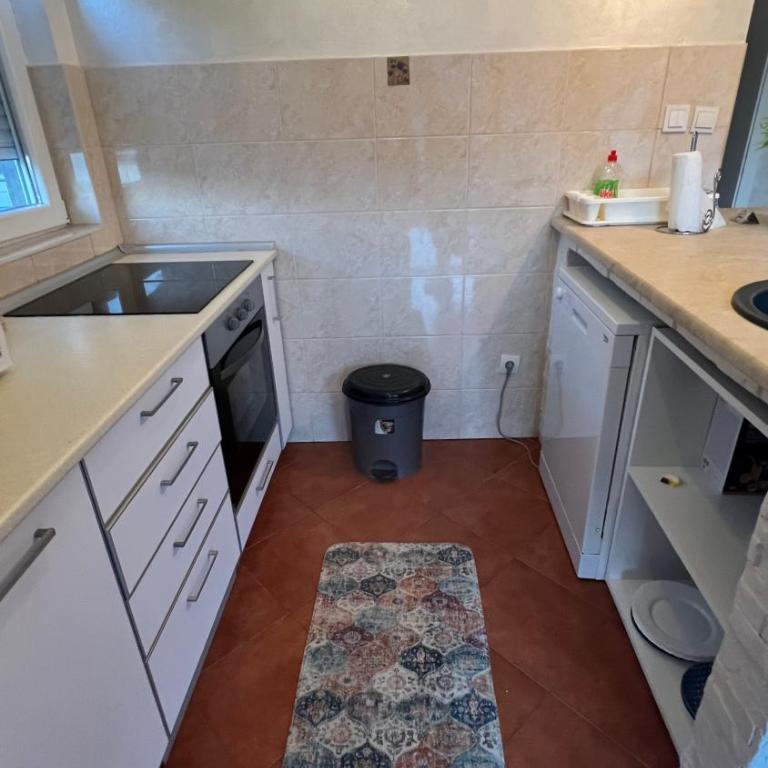 Vesa apartments - Apartman sa 1 Spavaćom Sobom - 10