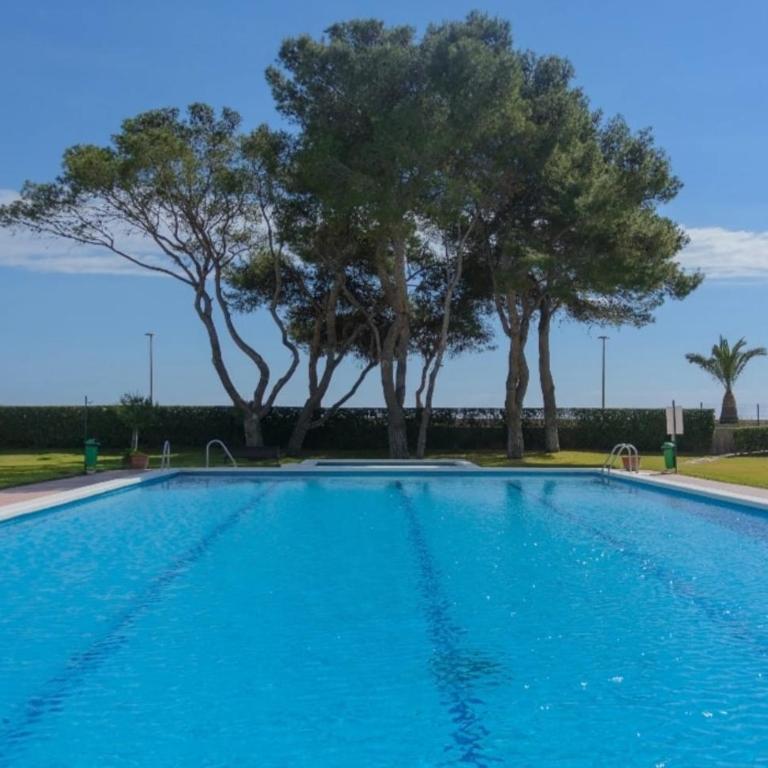 Frente al mar, piscina, playa tranquila - Apartamento de 1 dormitorio - 21