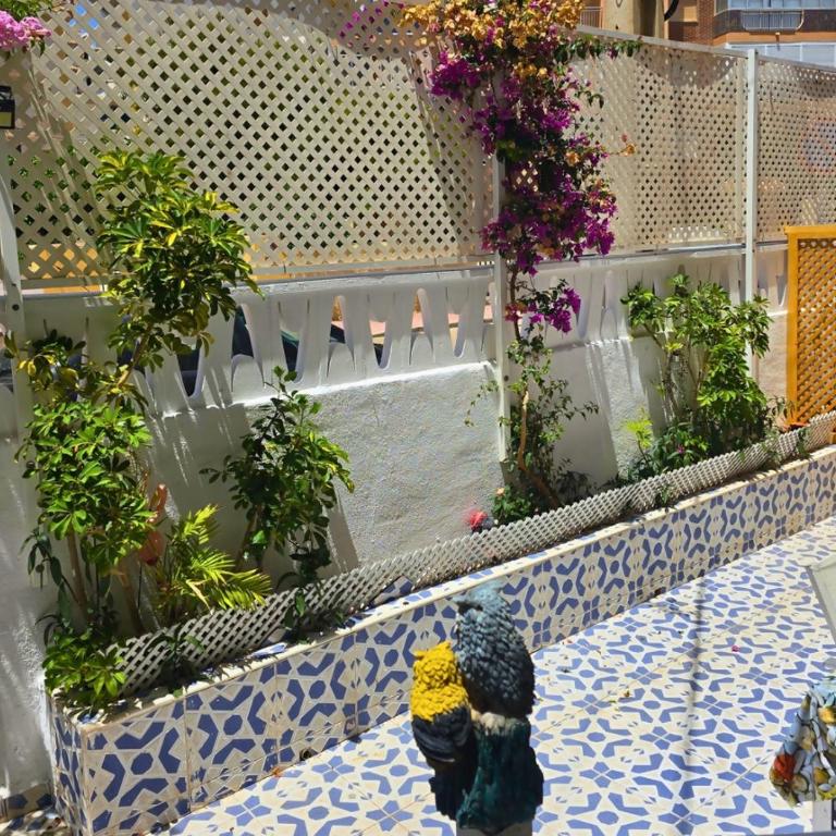 Bungalow Oaxaca: Playa de La Mata - Apartamento de 2 dormitorios - 8