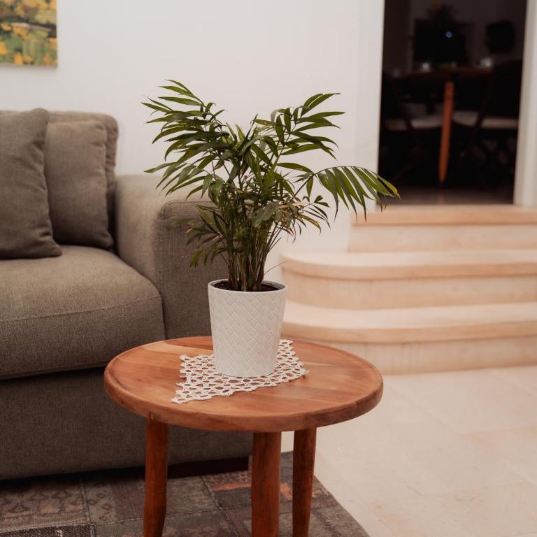 Villa Castrignano - Appartamento - 59