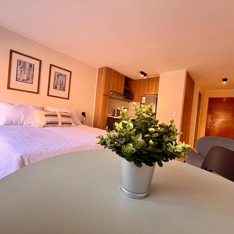 Estudio Acogedor cerca a Centro Histórico - One-Bedroom Apartment - 21