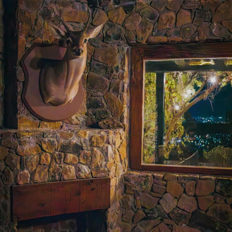 La Magia del Bosque - Casa de 3 dormitorios - 2