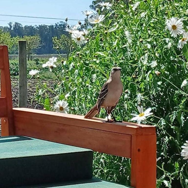 Casa de campo - Apartamento de 3 dormitorios - 4