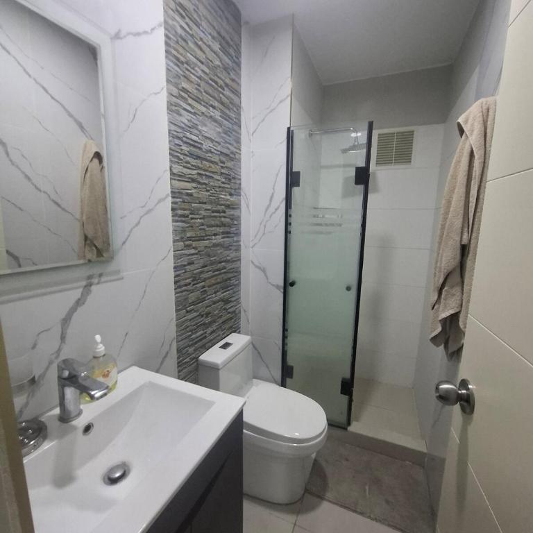 Amplio departamento en Lima - Two-Bedroom Apartment - 3