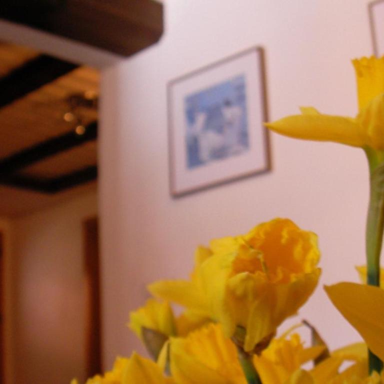 Chalet Goldblick - Appartamento con 3 Camere da Letto e Terrazza - 4