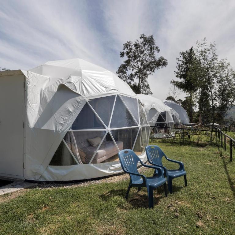NaturHotel - Dome Forest View - 5