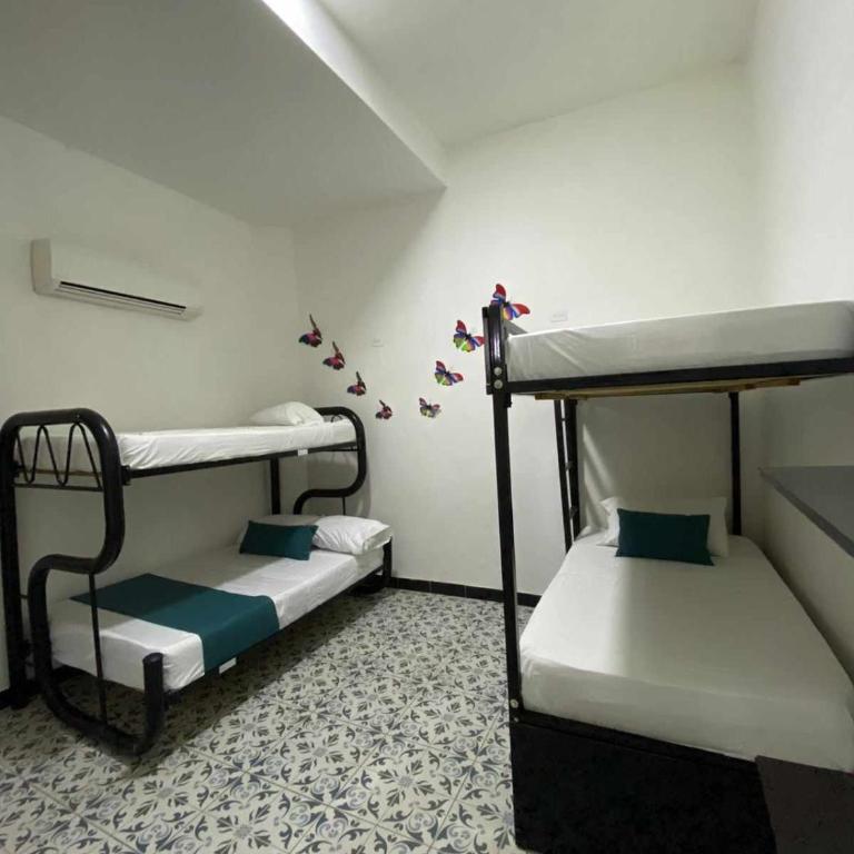 Samario Hostal Santa Marta - Cama en habitación compartida mixta de 4 camas - 1