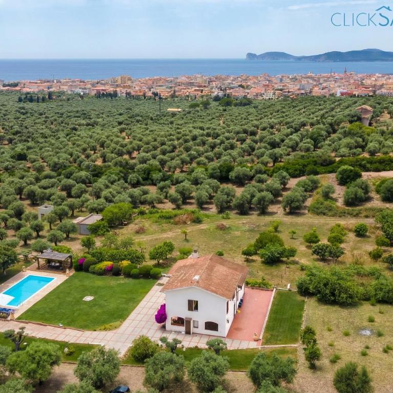 ClickSardegna Villa Emanuel ad Alghero con Vista mare spettacolare, piscina indipendente per 8 persone - Villa - 26
