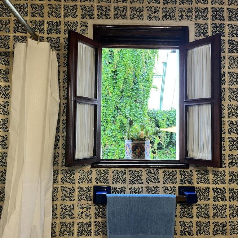 Beautiful and spacious Colonial Home, Mexico City - Villa - 19