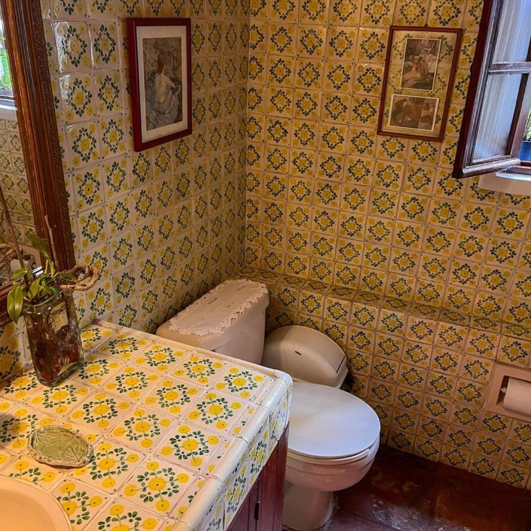 Beautiful and spacious Colonial Home, Mexico City - Villa - 34