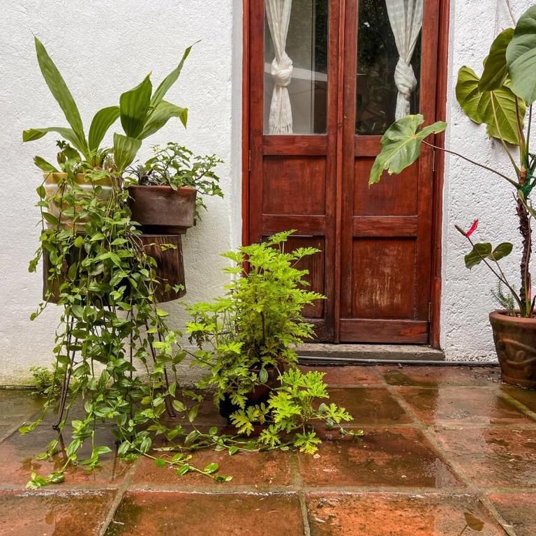 Beautiful and spacious Colonial Home, Mexico City - Villa - 52