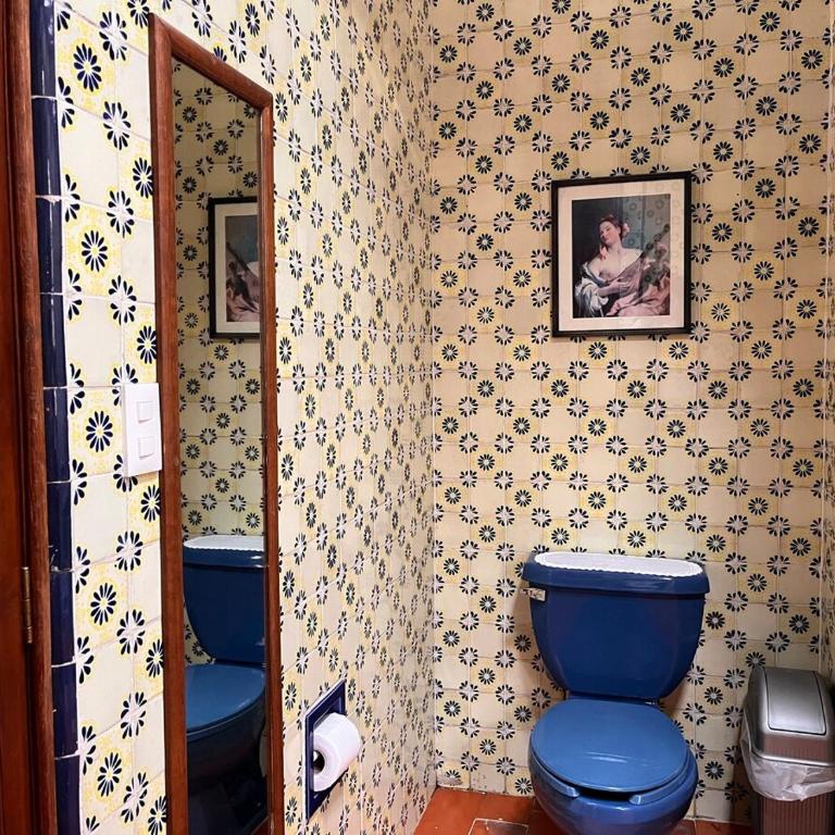 Beautiful and spacious Colonial Home, Mexico City - Villa - 53