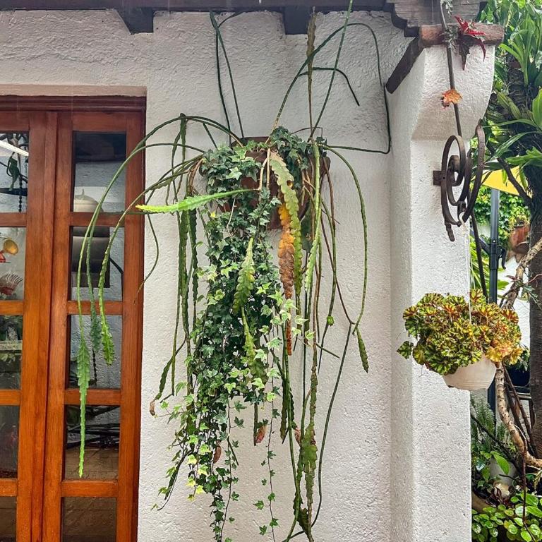 Beautiful and spacious Colonial Home, Mexico City - Villa - 71