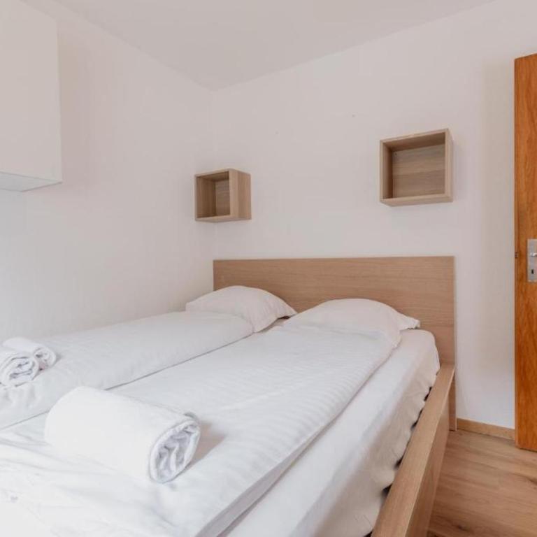 Appartement cosy à 1 minute à pied des pistes de ski - Apartment mit 1 Schlafzimmer - 11