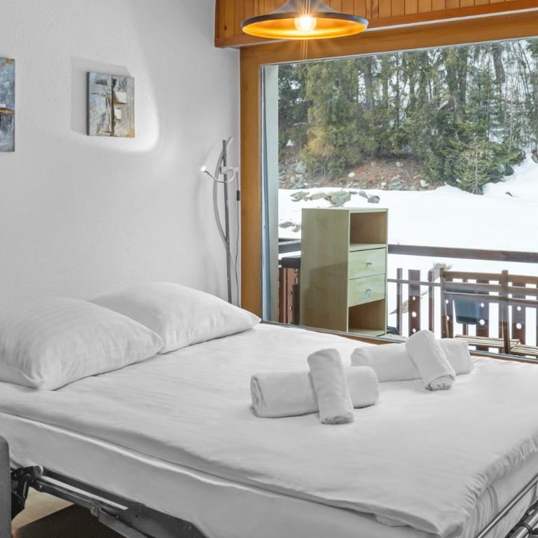 Appartement cosy à 1 minute à pied des pistes de ski - Apartment mit 1 Schlafzimmer - 2