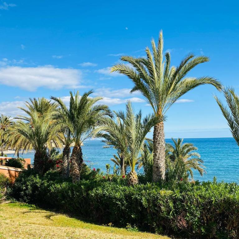 Casas349h Amerador playa El Campello - Apartamento de 1 dormitorio - 24