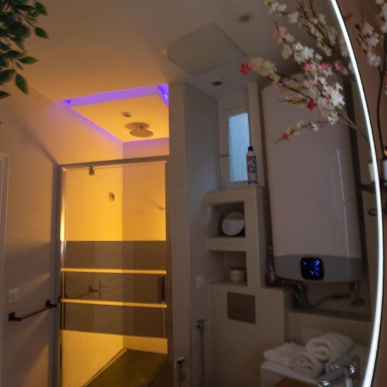 Damalia - Suite 7 - Aix Les Bains Hyper centre - proche Casino - Apartment mit 1 Schlafzimmer - 13