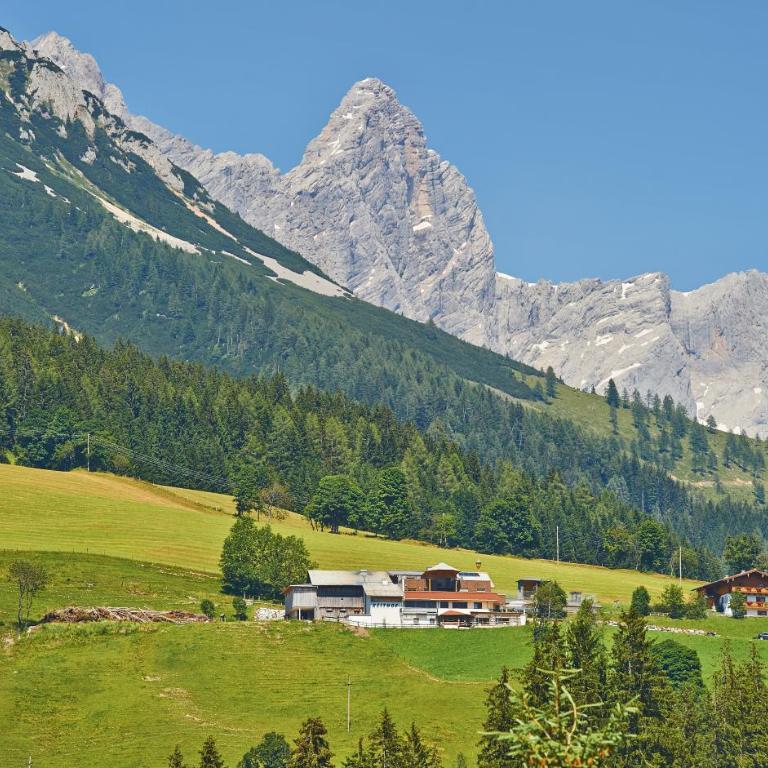 Ferienanlage Reithof - Apartment (4 Adults) - 6
