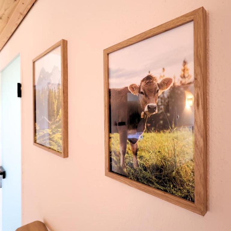 Claras Bergzeit - Apartment mit 2 Schlafzimmern - 23