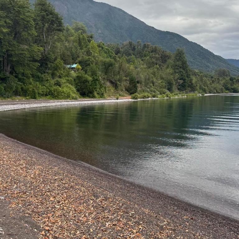 Cabaña los helechos - Casa de 2 dormitorios - 3
