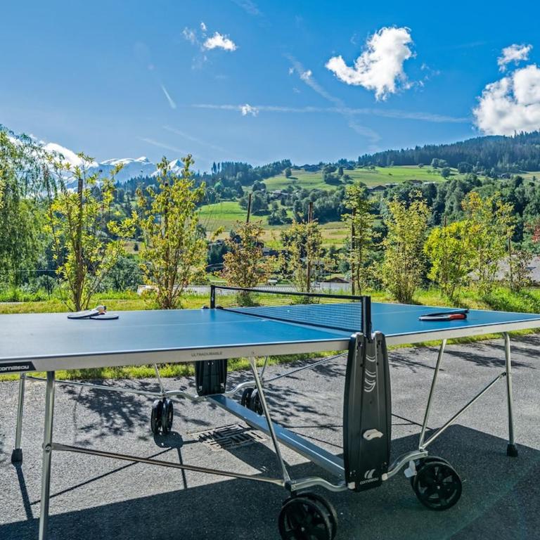 Chalet Cocoon - Chalet - 22