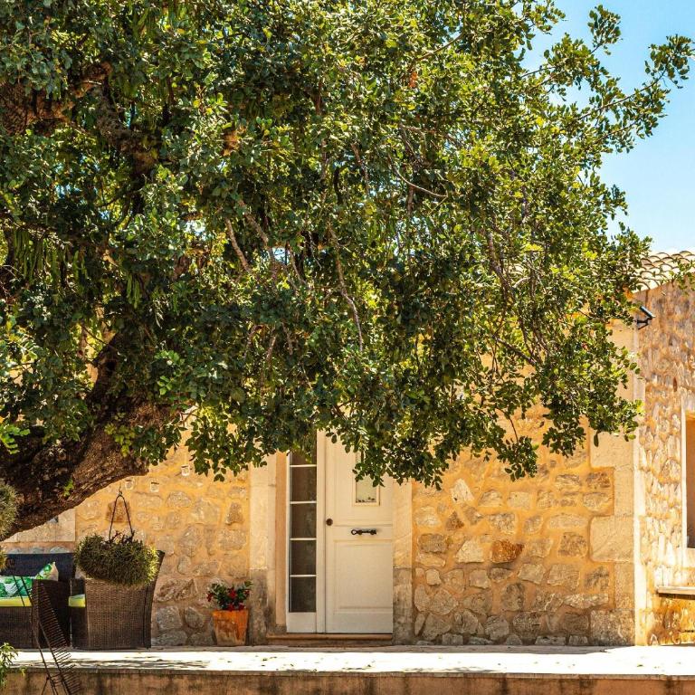 Finca Bassa Serra - Casa de 2 dormitorios - 29