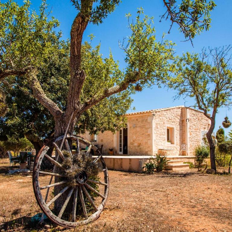 Finca Bassa Serra - Casa de 2 dormitorios - 41