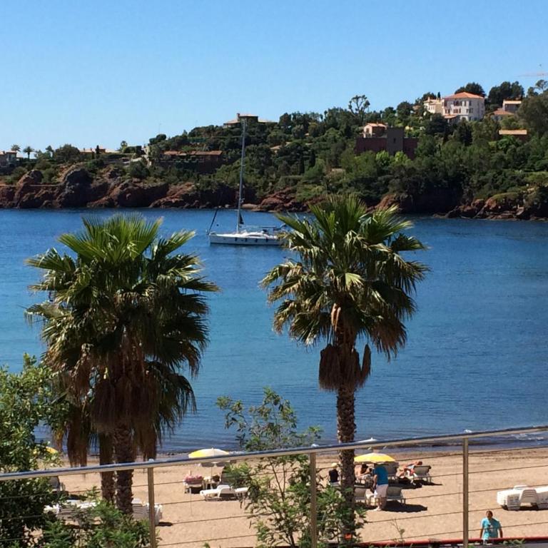 Sea view, terrace, and swimming pool in the heart of the Esterel - Appartement 2 Chambres - 23