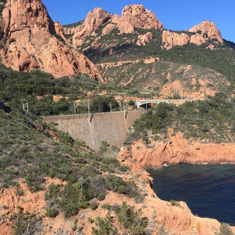 Sea view, terrace, and swimming pool in the heart of the Esterel - Appartement 2 Chambres - 31