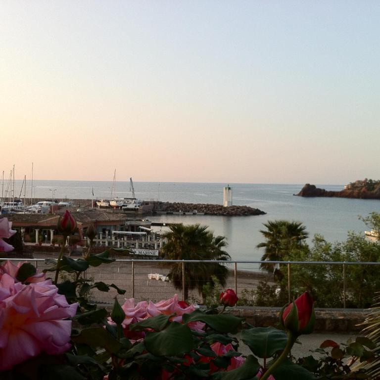 Sea view, terrace, and swimming pool in the heart of the Esterel - Appartement 2 Chambres - 32
