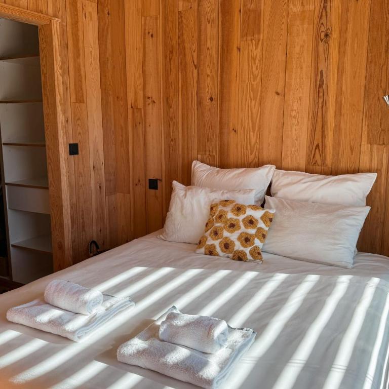 VILLA CELINE with private pool for 6 people in Andernos-les-Bains - Villa - 49