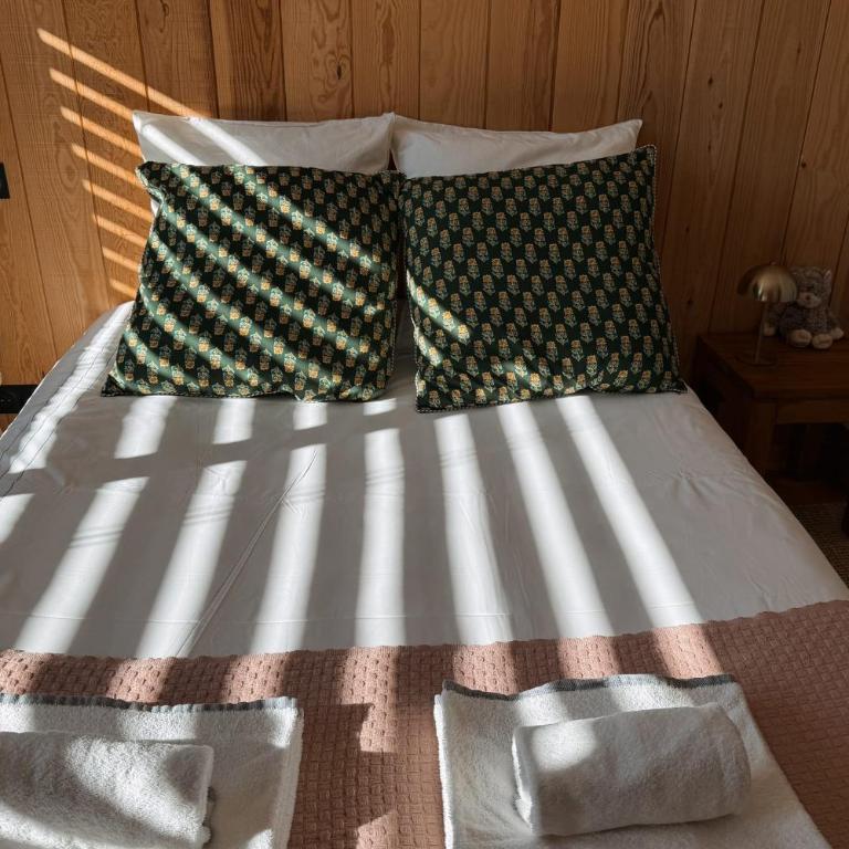 VILLA CELINE with private pool for 6 people in Andernos-les-Bains - Villa - 53