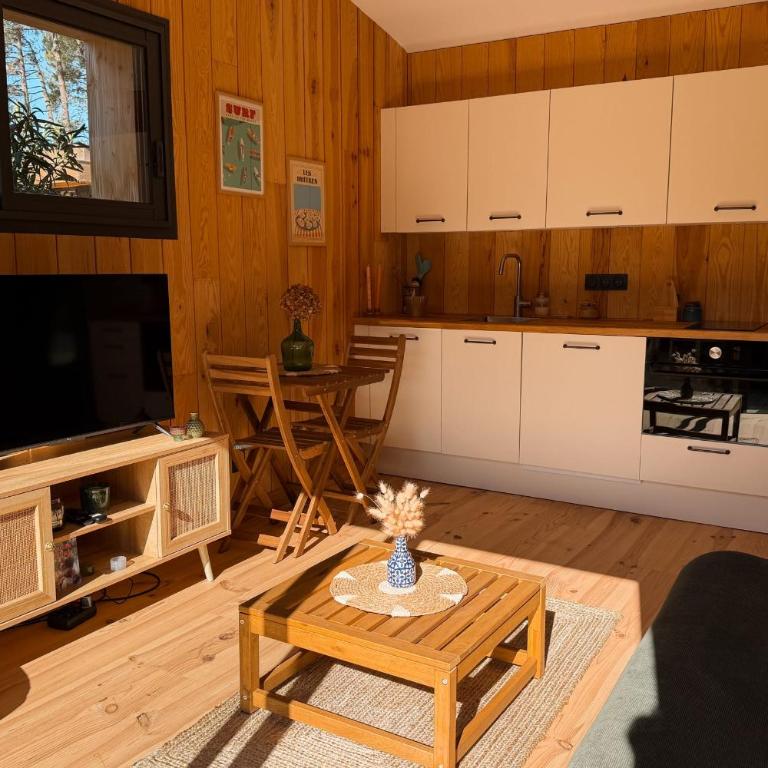 VILLA CELINE with private pool for 6 people in Andernos-les-Bains - Villa - 72
