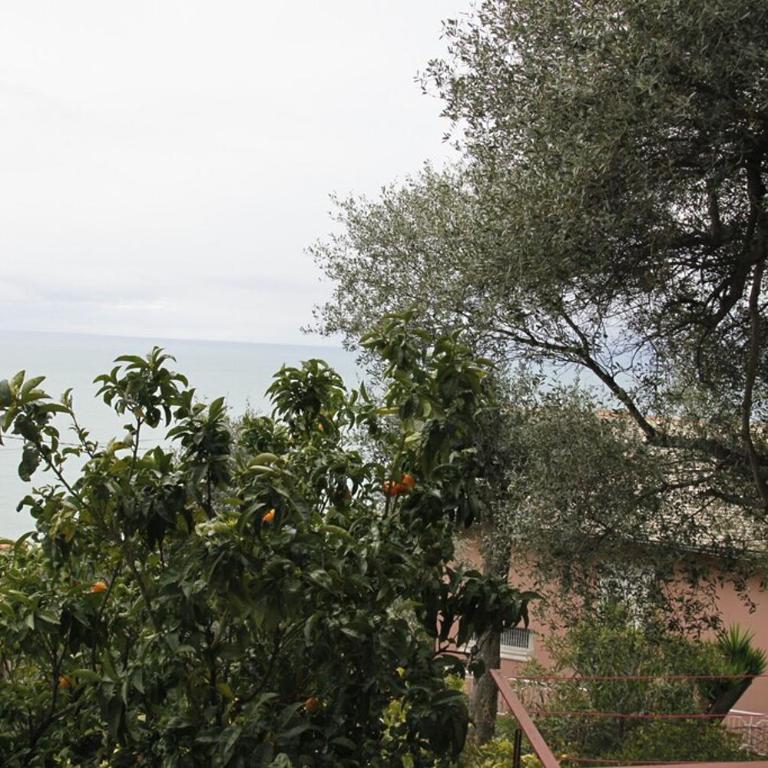 Villino con splendida vista mare tra Chiavari e Zoagli - Villa con 2 Camere da Letto - 19