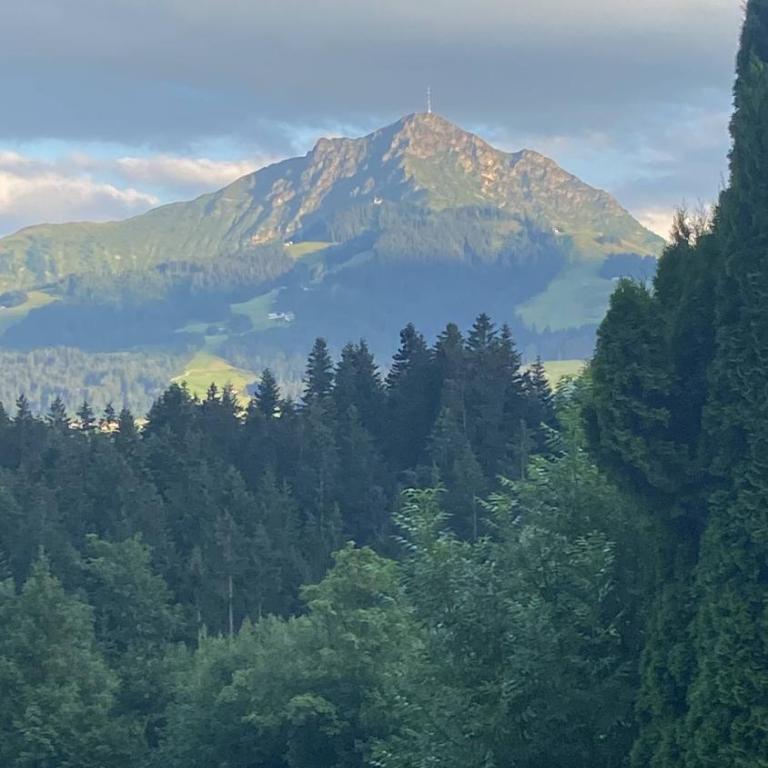 Charming Apartment in Sankt Johann in Tirol with Private Entrance - Apartment - 11