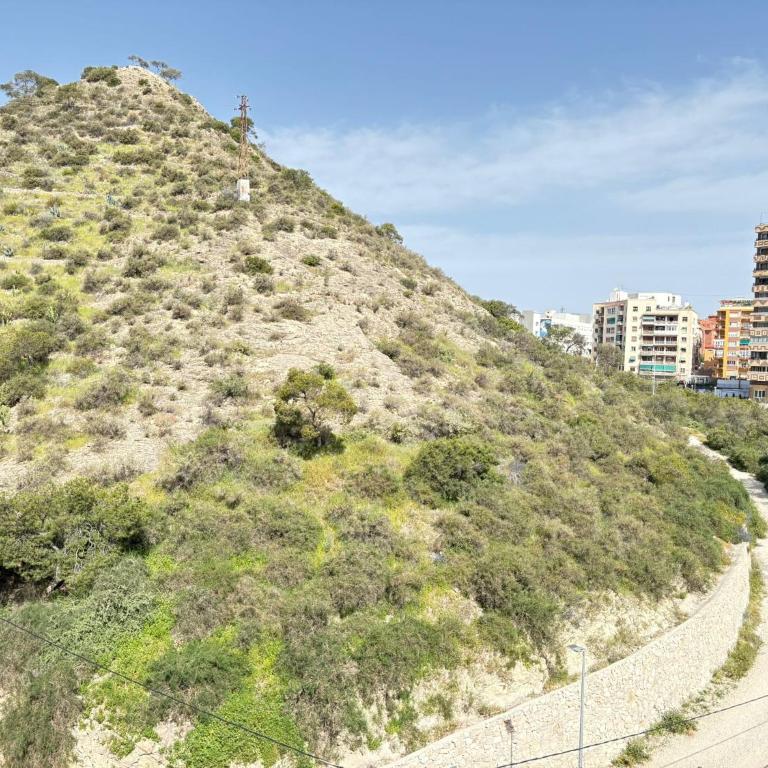 Sea view apartment Postiguet - Two-Bedroom Apartment - 18