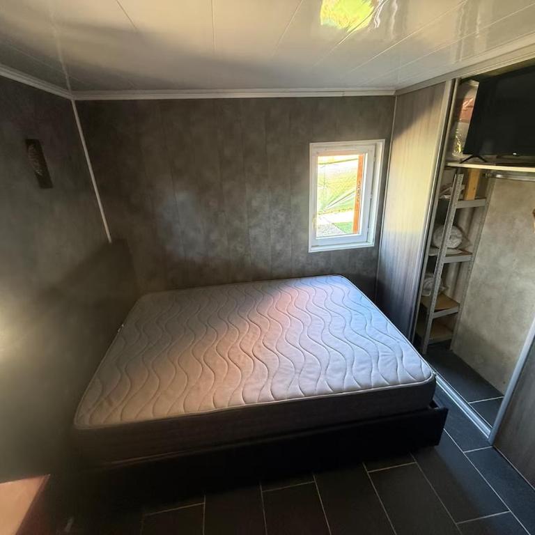Chalet Vias Plage - Maison 1 Chambre - 4