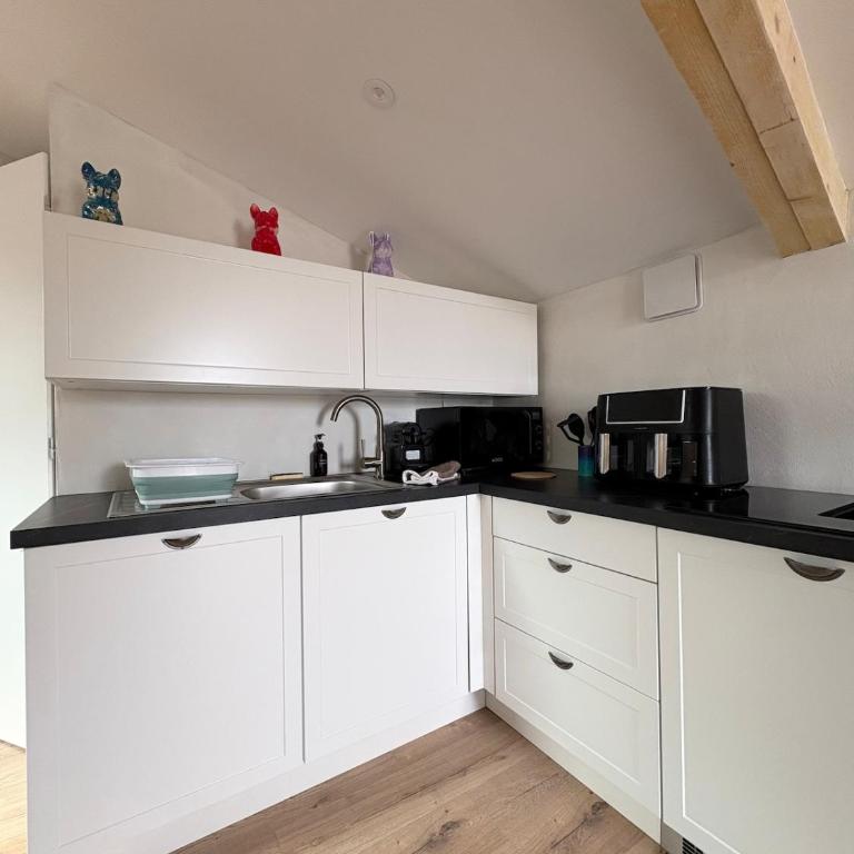 l'atelier sous les toits terrasse parking - Appartement 2 Chambres - 6