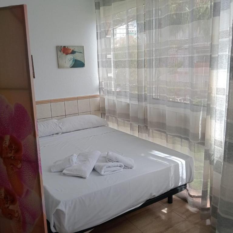 A&N Central Beach & Pool Studio Torre del Mar - Studio - 3