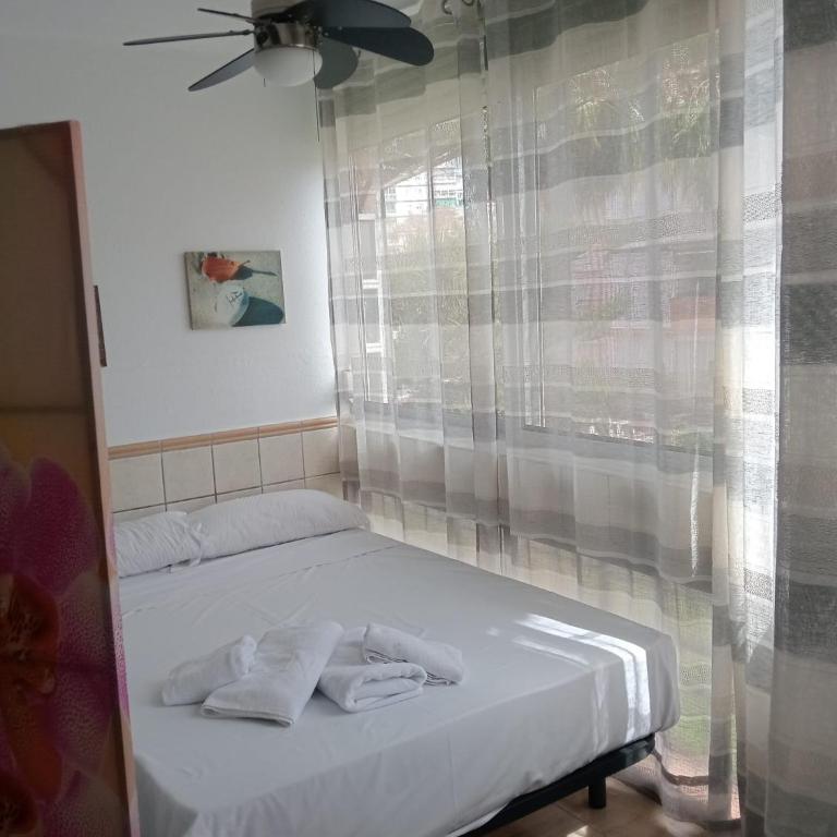 A&N Central Beach & Pool Studio Torre del Mar - Studio - 16