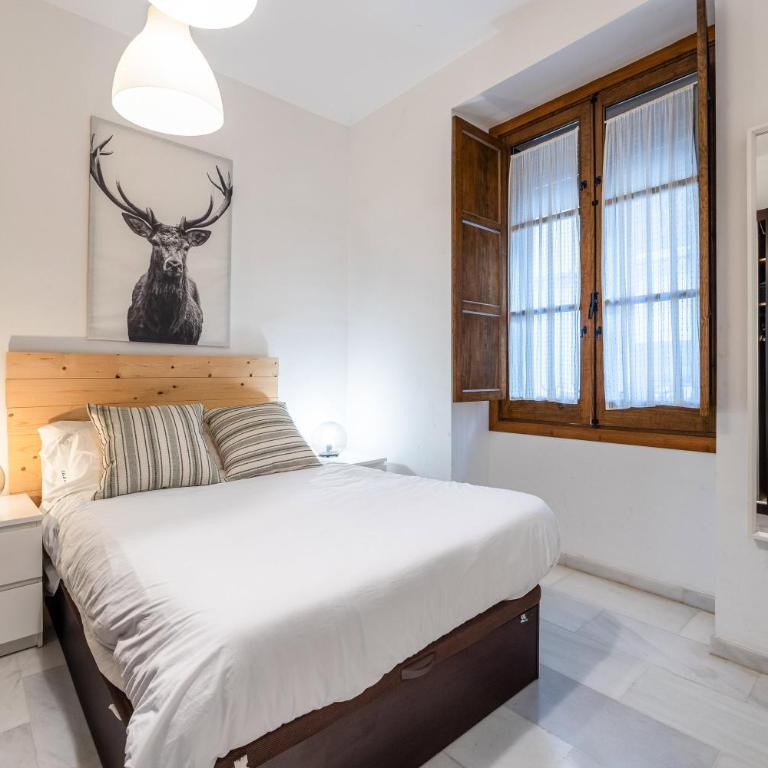 Córdoba Center Monumental Home - Apartamento - 14