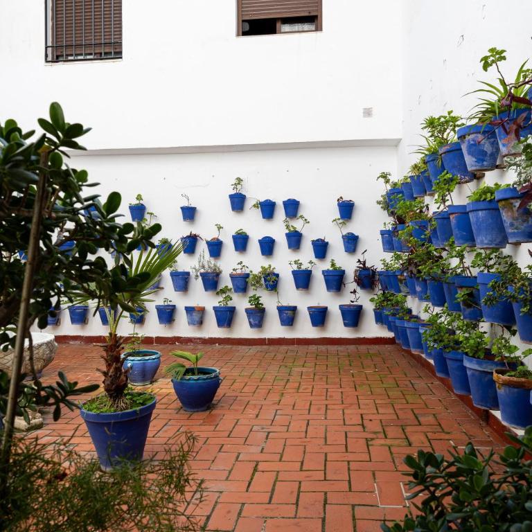 La calleja de la Corredera - Apartamento - 6