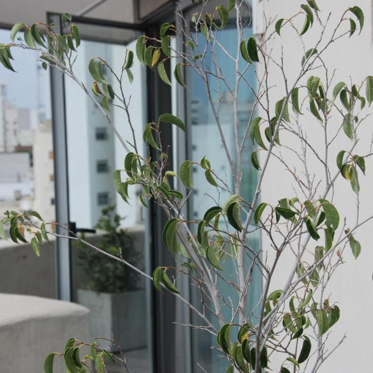 Hotel Benevento - Habitación Estándar - 1 cama grande - 4