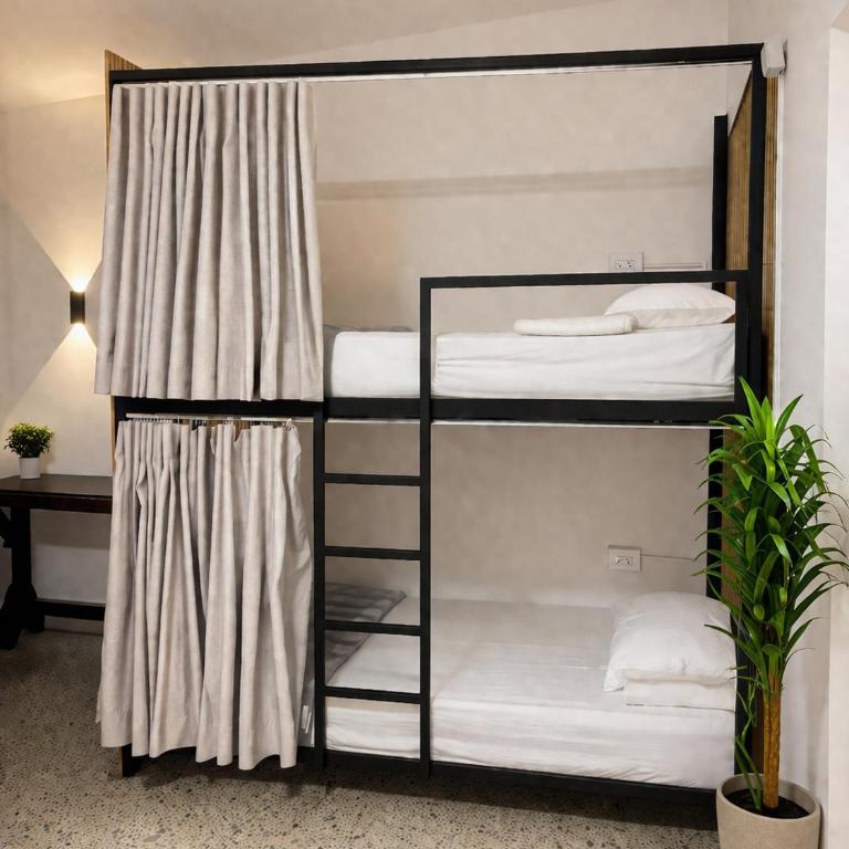 Absolute Nova Hotel - Bed in 6-Bed Mixed Dormitory Room - 2