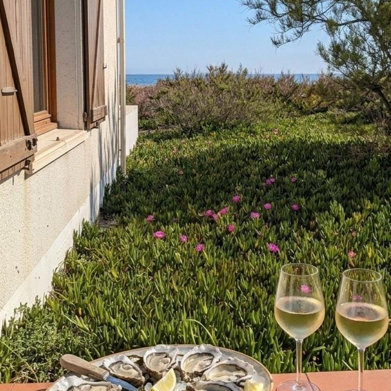 Studio front de mer avec acces privé à la plage et grande terrasse vue sur la mer - Apartment mit 1 Schlafzimmer - 1