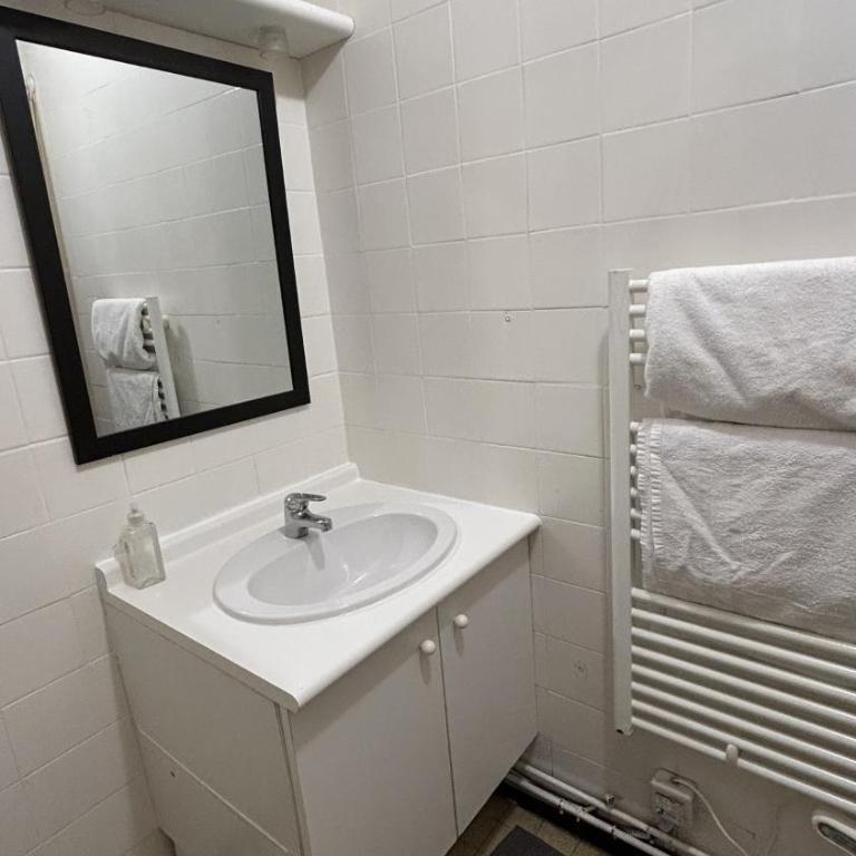 Le Roosvelt - Appartement 1 Chambre - 5