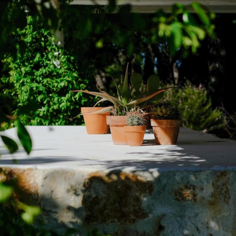 Trullo dei Pini - Villa - 12