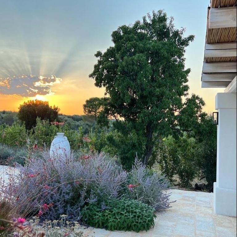 Trullo dei Pini - Villa - 14