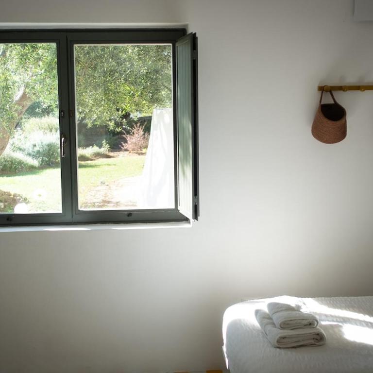Trullo dei Pini - Villa - 76