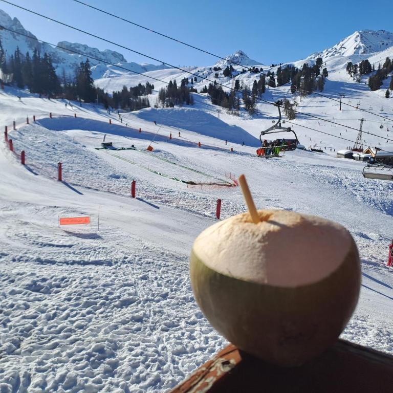 MON SKI A LA PLAGNE - PLAGNE BELLECOTE Résidence 3000 - Appartement 1 Chambre - 51